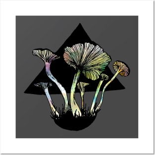 Funnel Chantarelles Posters and Art